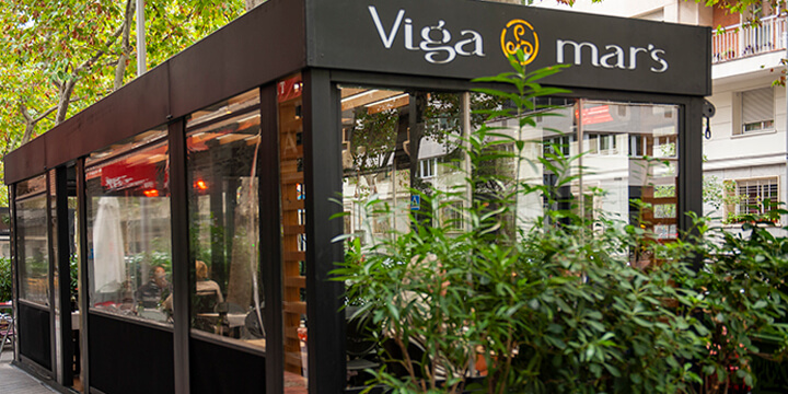 vigamars06
